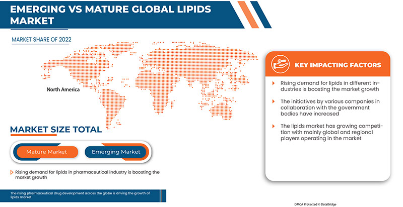 Lipids Market