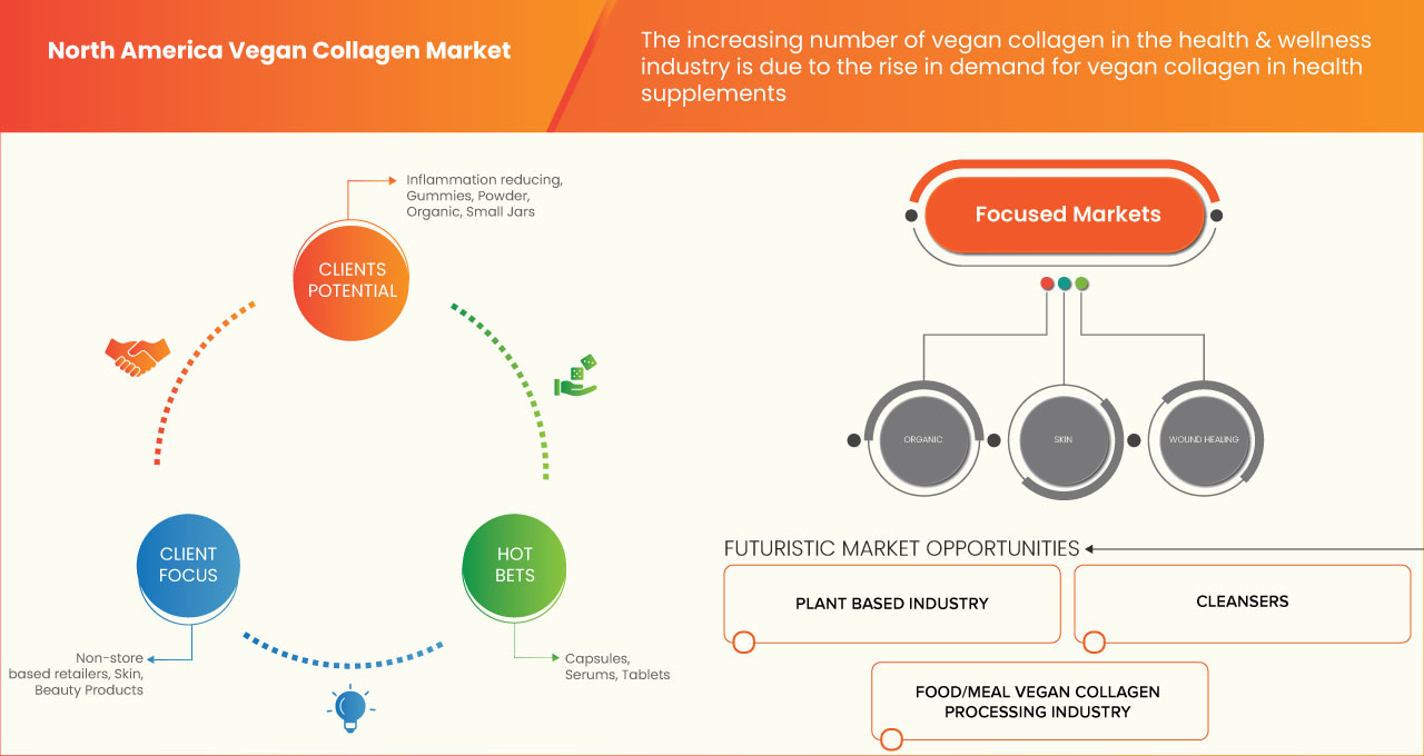 North America Vegan Collagen Market