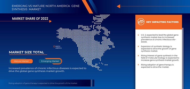 North America Gene Synthesis Market