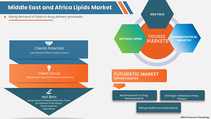 Middle East and Africa Lipids Market