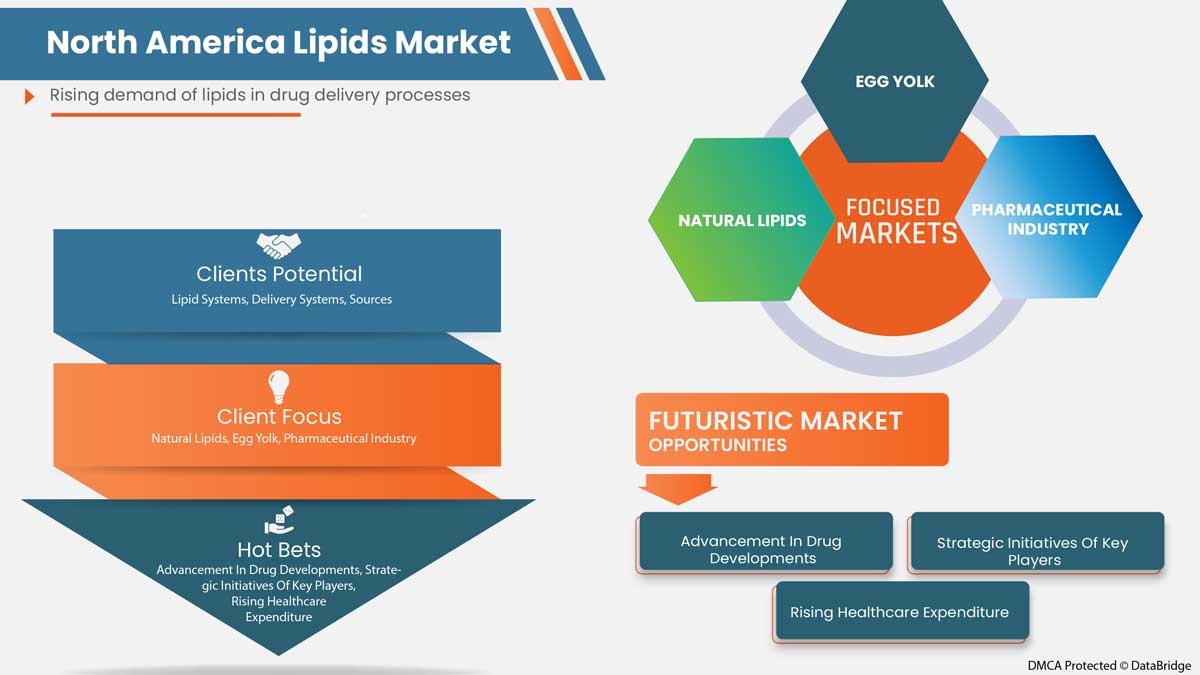 North America Lipids Market