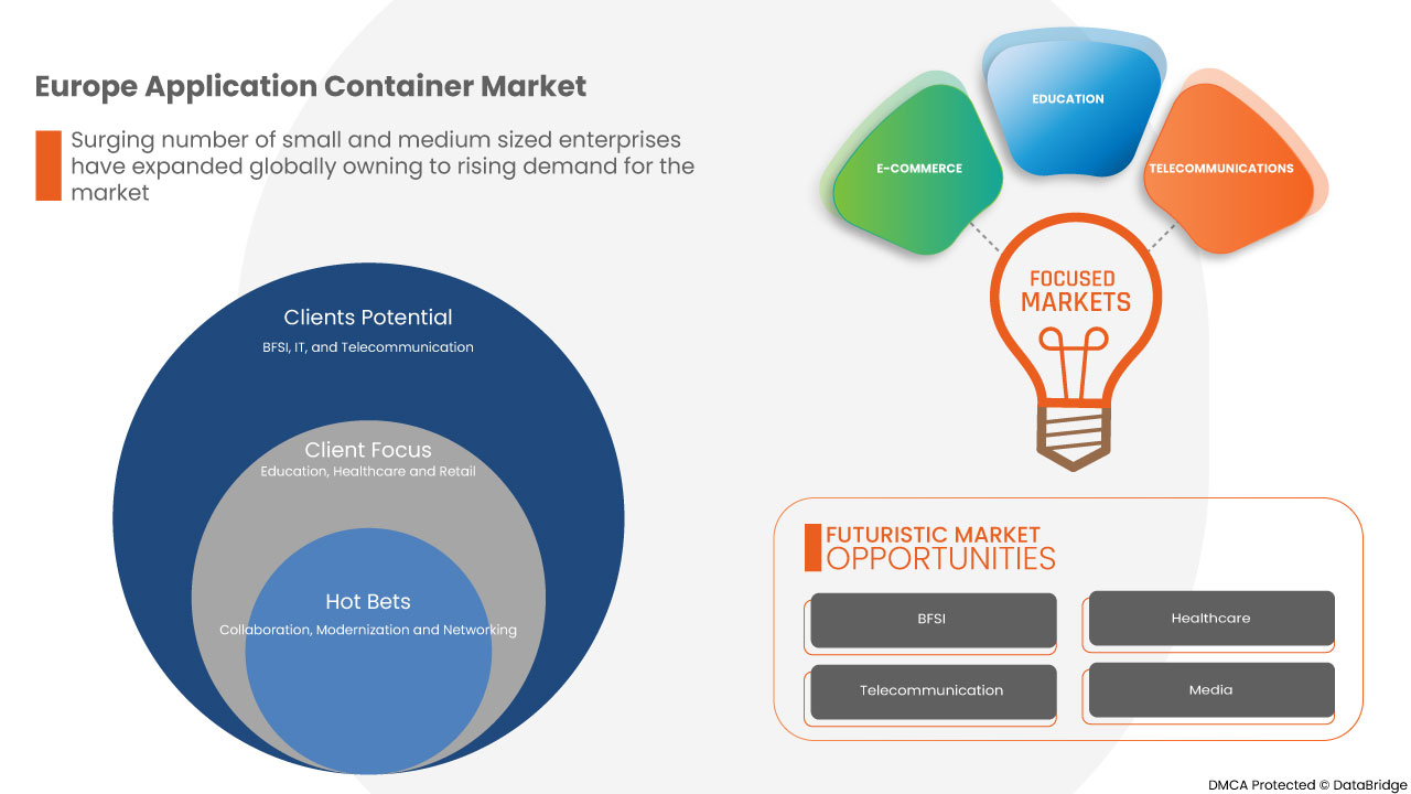 Europe Application Container Market