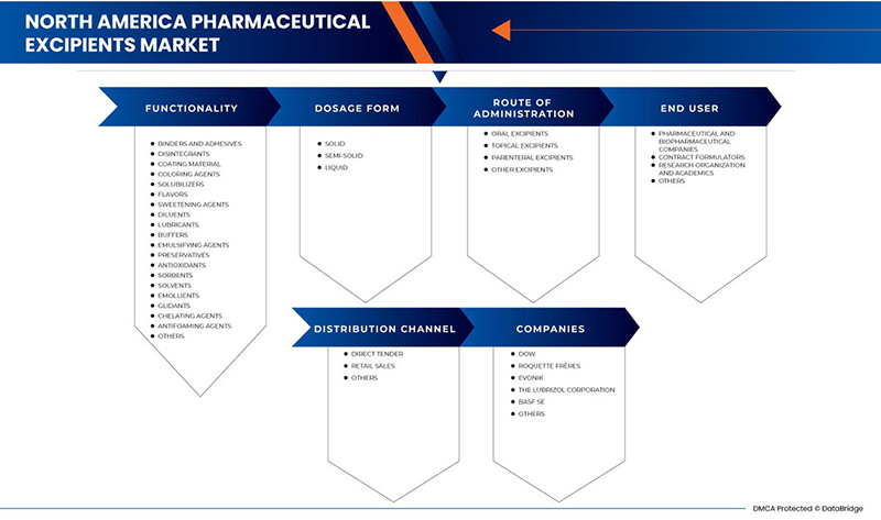 North America Pharmaceutical Excipients Market