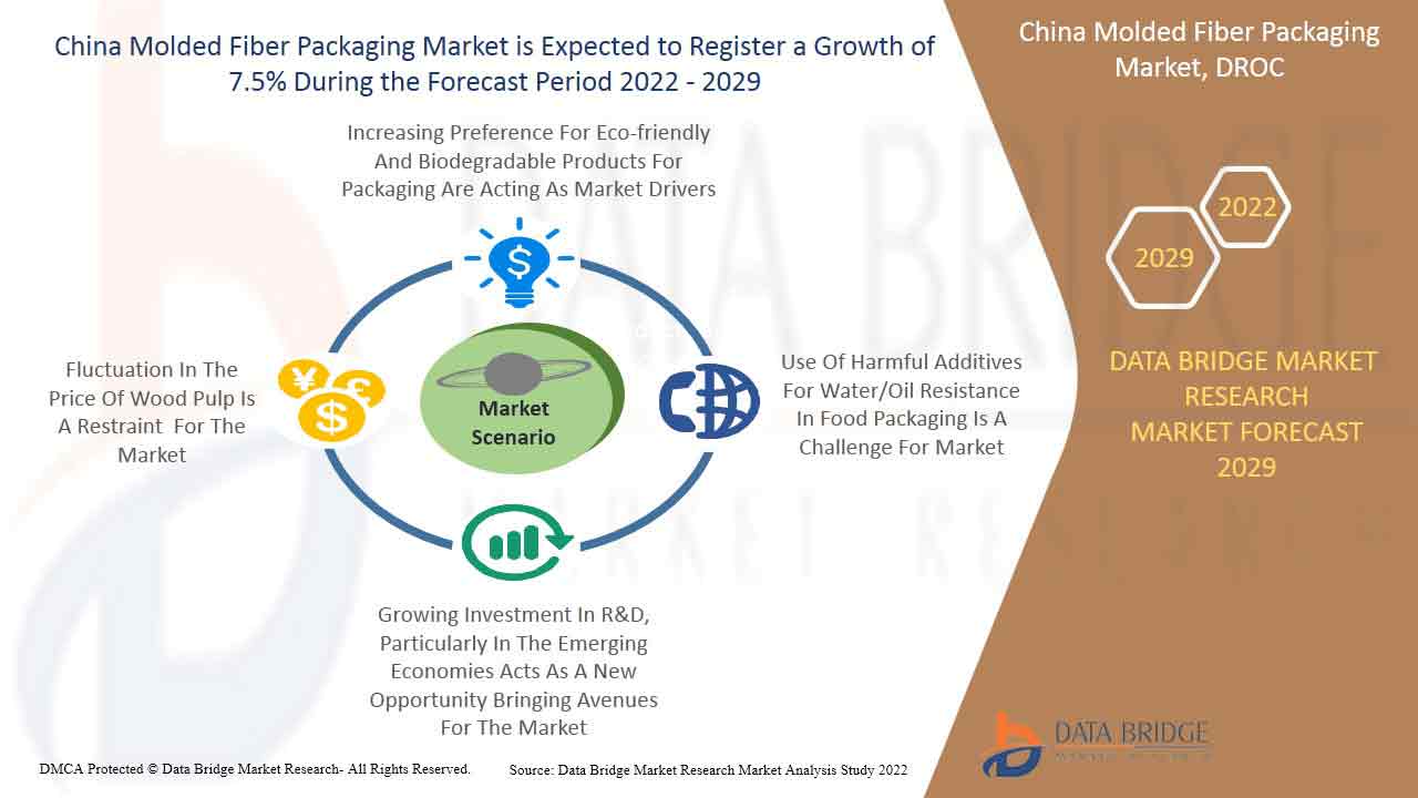 China Molded Fiber Packaging Market