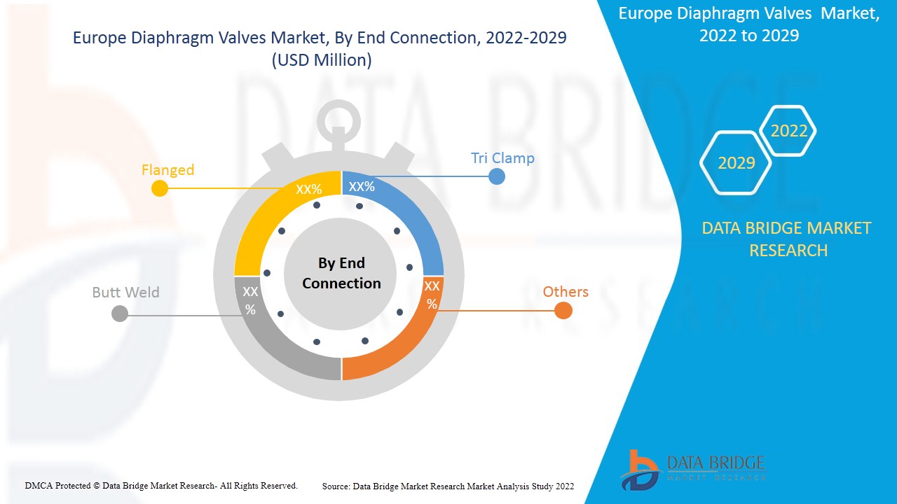Europe Diaphragm Valves Market