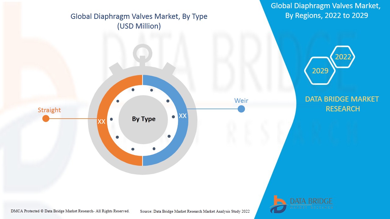 Diaphragm Valves Market