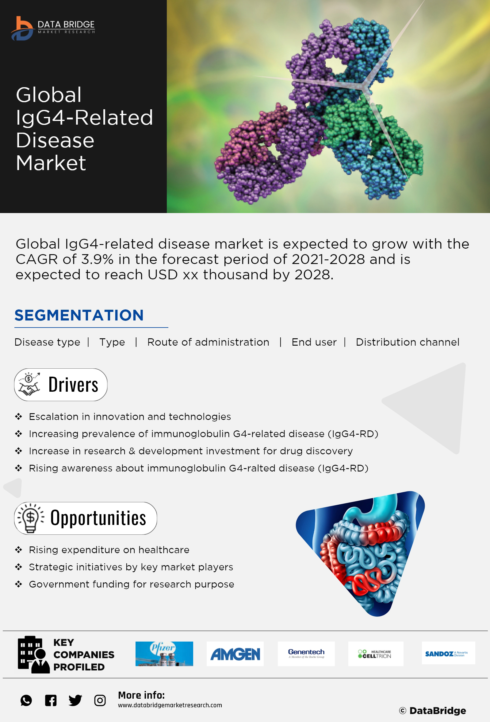IgG4-Related Disease Market