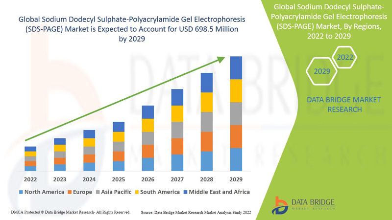 Sodium Dodecyl Sulphate-Polyacrylamide Gel Electrophoresis  (SDS-PAGE) Market