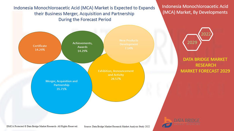 Indonesia Monochloroacetic Acid (MCA) Market