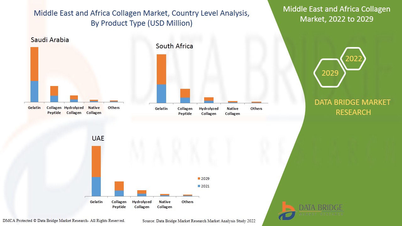 Middle East and Africa Collagen Market