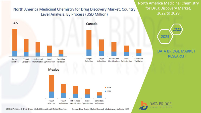 North America Medicinal Chemistry for Drug Discovery Market
