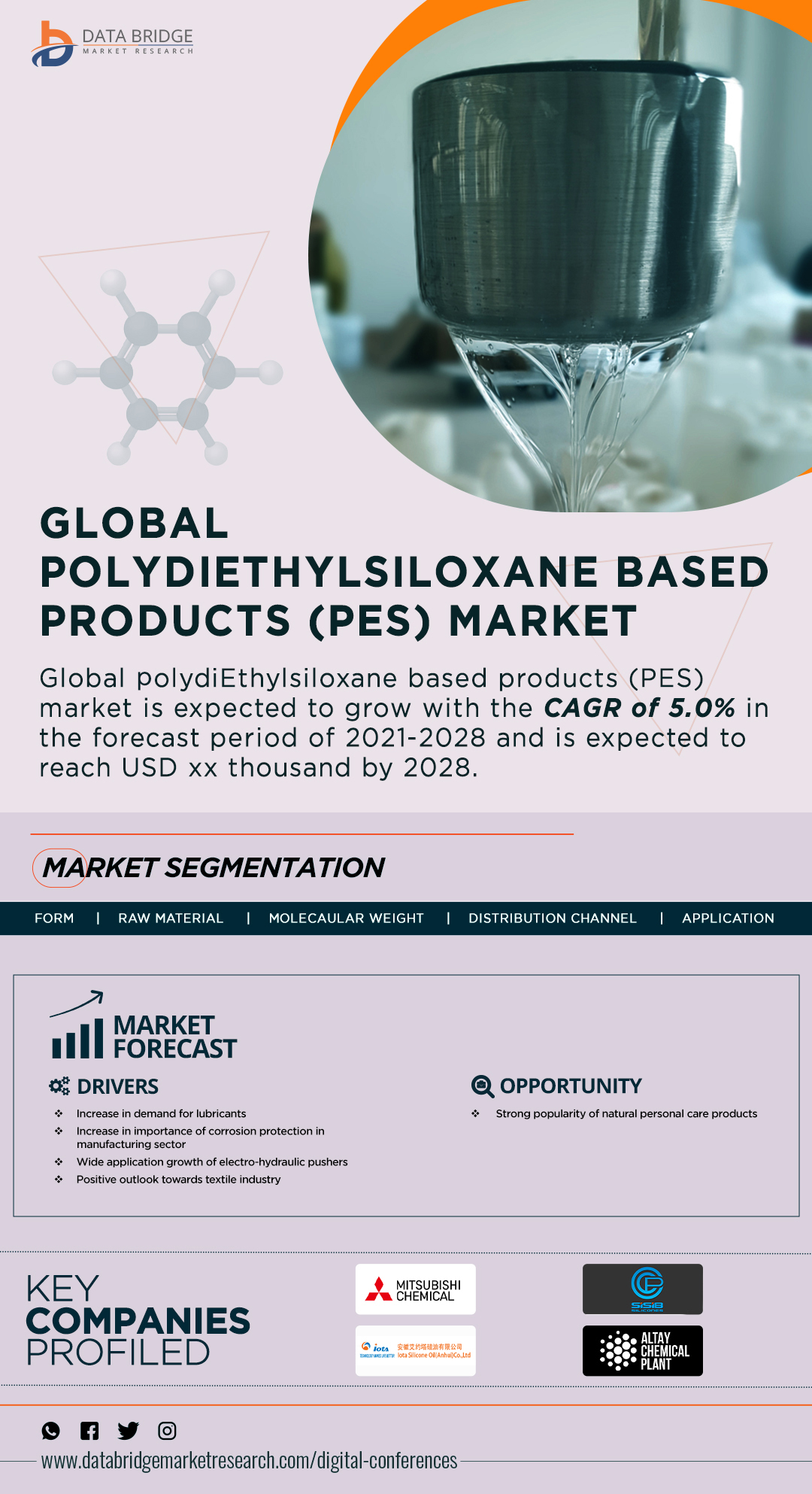 PolydiEthylsiloxane Based Products (PES) Market