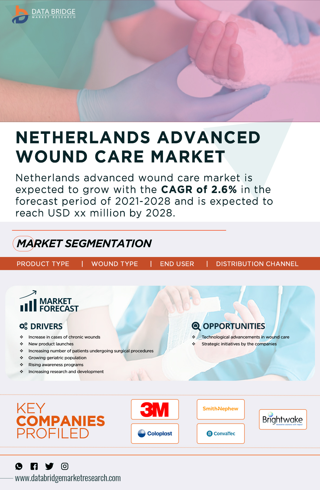 Netherlands Advanced Wound Care Market