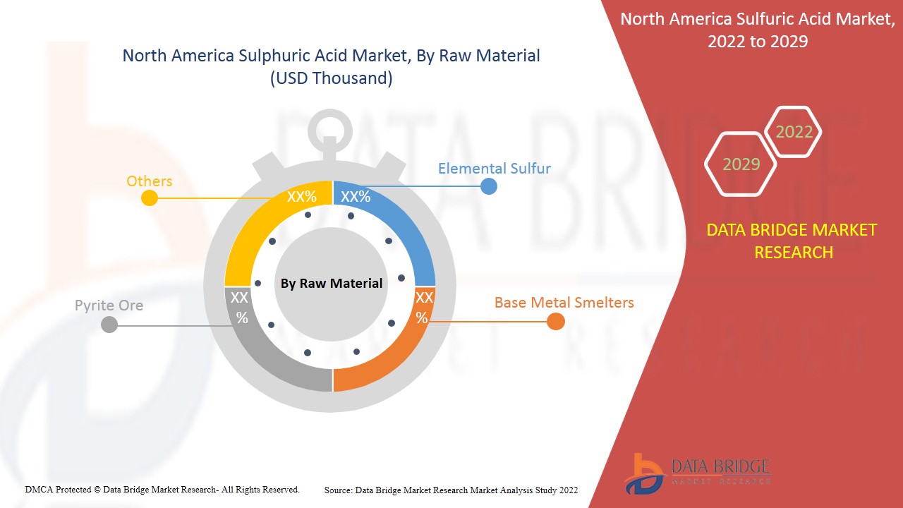 North America Sulfuric Acid Market