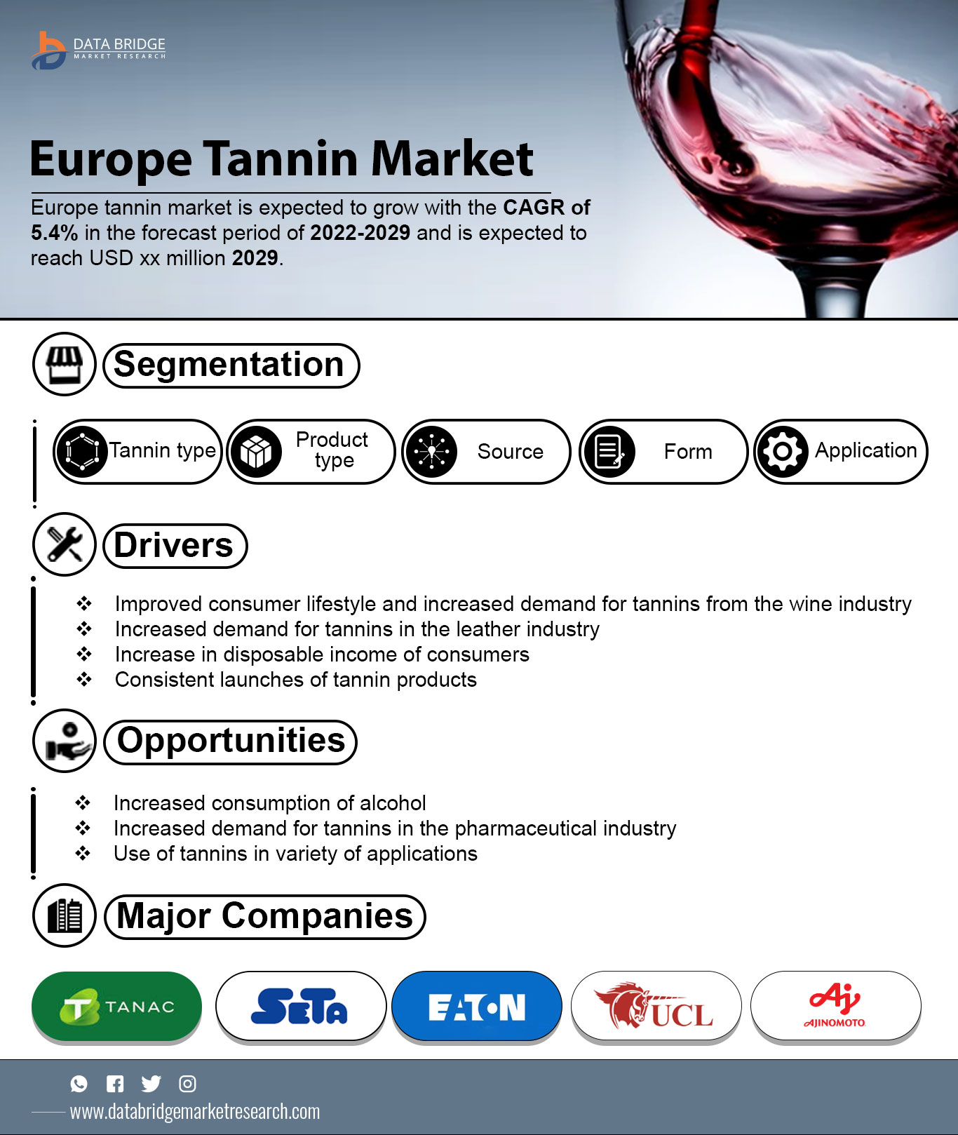 Europe Tannin Market