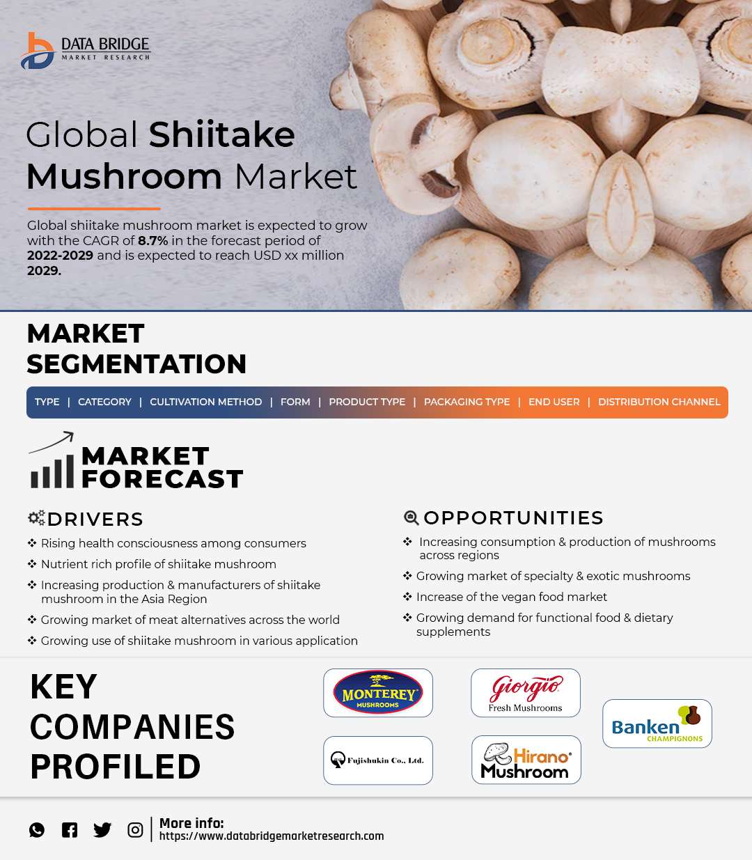 Shiitake Mushroom Market