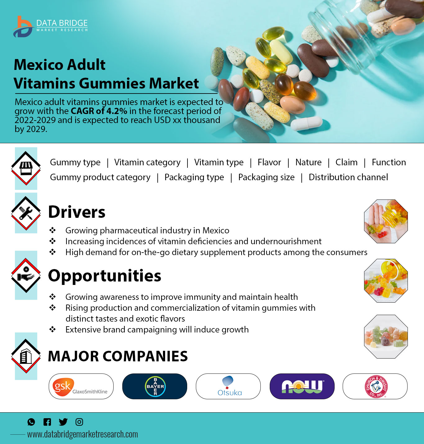 Mexico Adult Vitamin Gummies Market