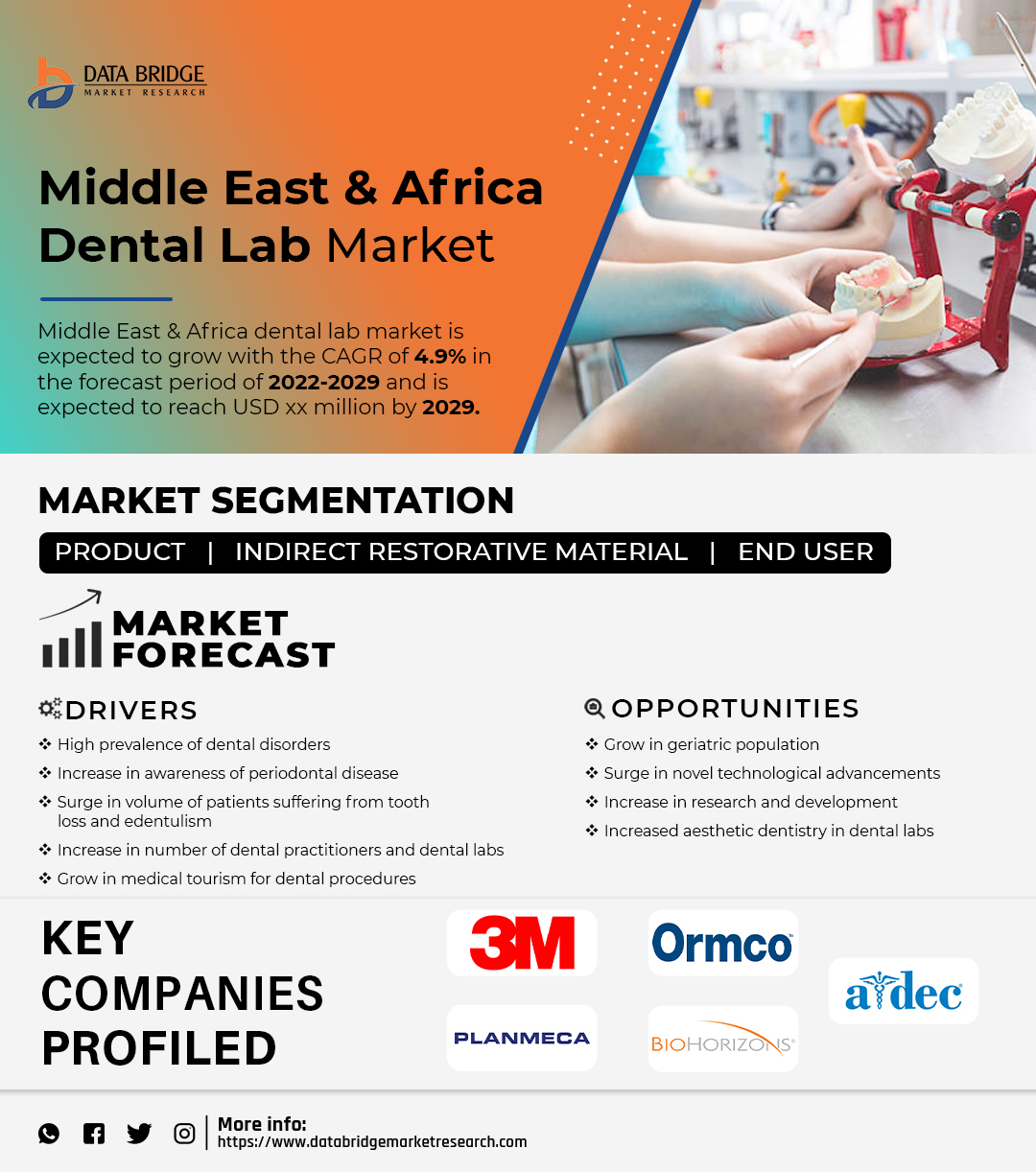Middle East and Africa Dental Lab Market