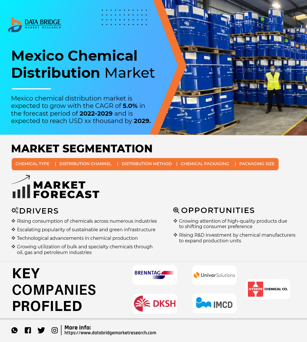 Mexico Chemical Distribution Market