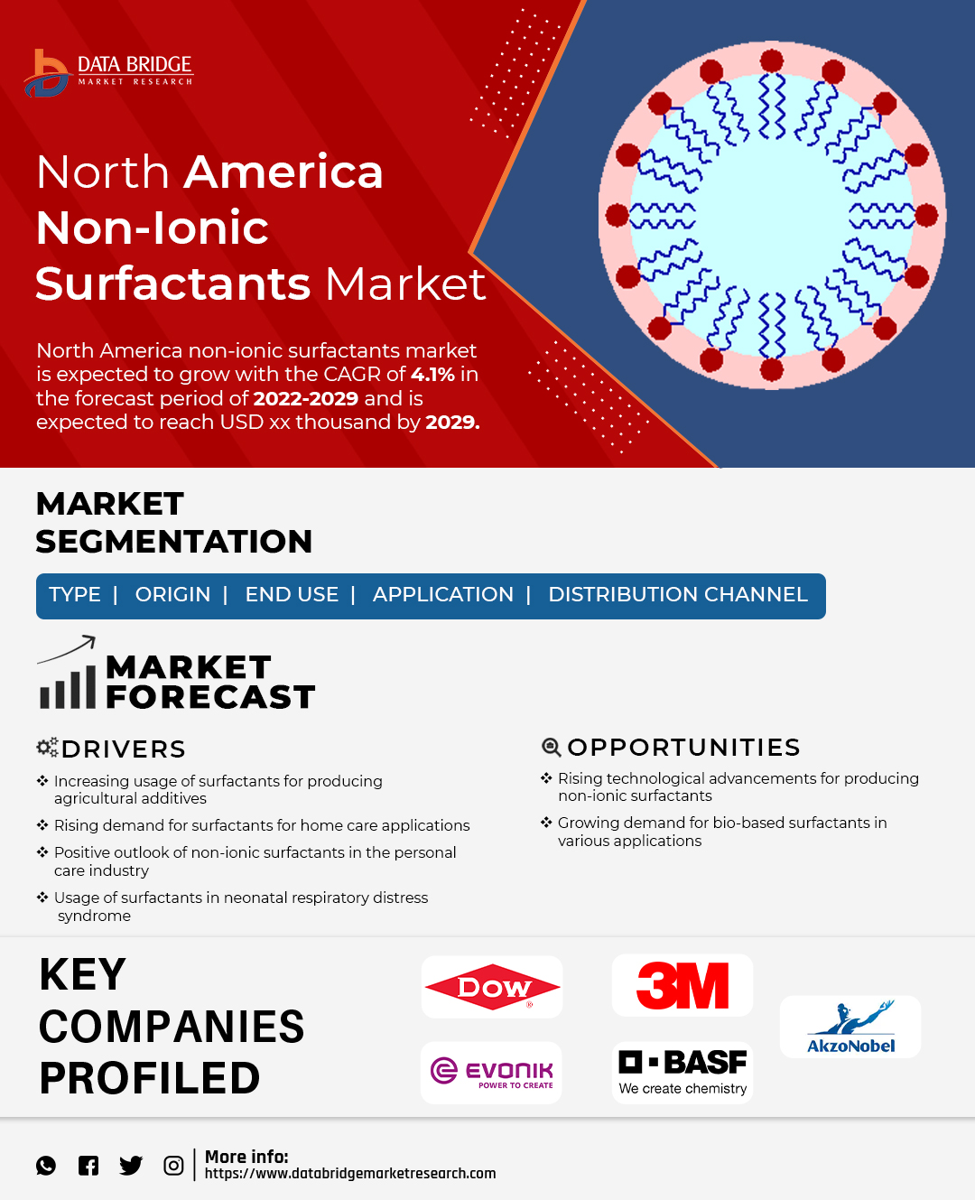 North America Non-Ionic Surfactants Market