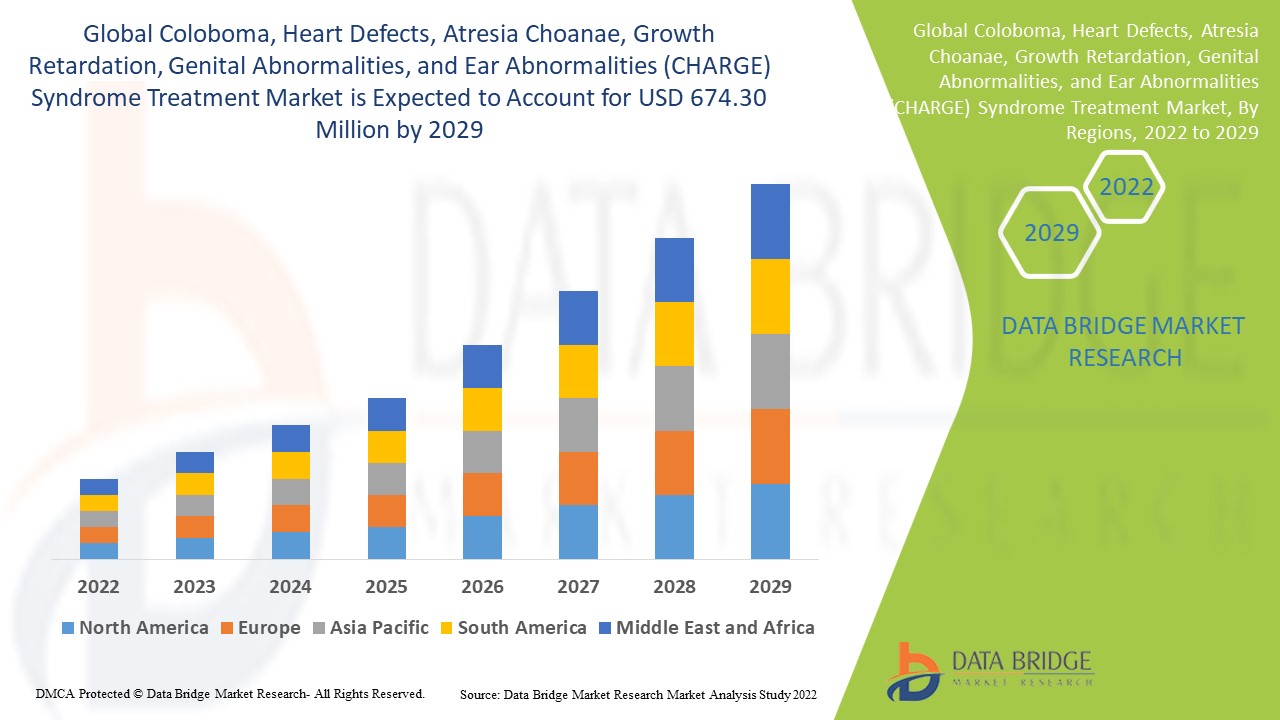 Coloboma, Heart Defects, Atresia Choanae, Growth Retardation, Genital Abnormalities, and Ear Abnormalities (CHARGE) Syndrome Treatment Market