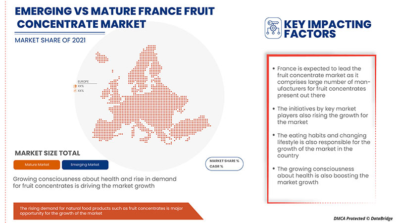 France Fruit Concentrate Market
