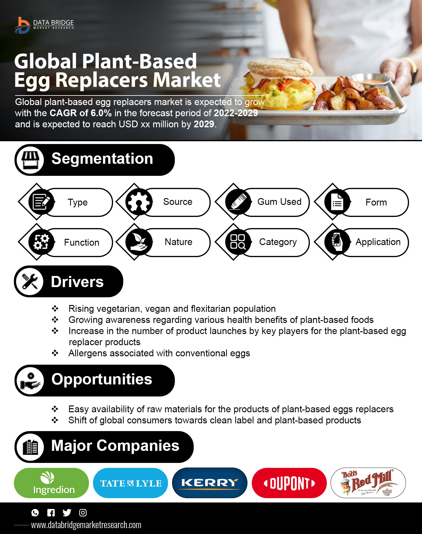 Plant-Based Egg Replacers Market
