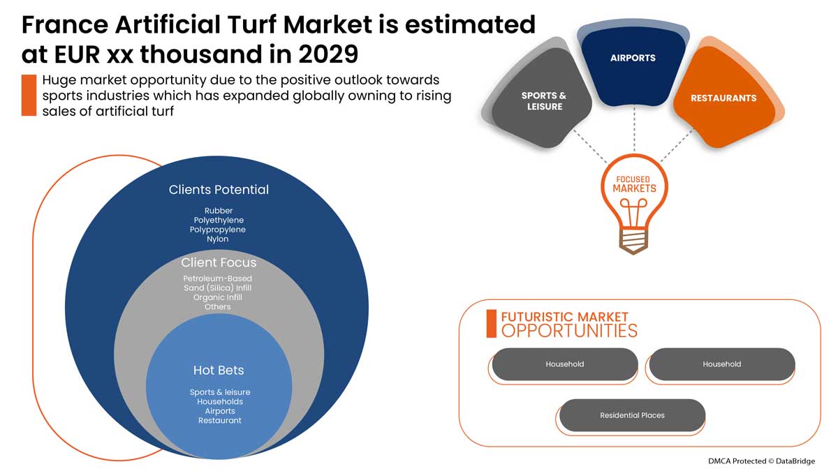 France Artificial Turf Market