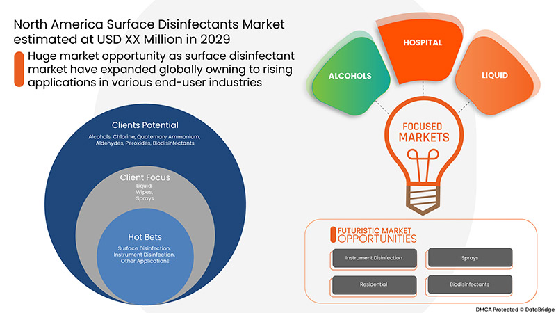 North America Surface Disinfectants Market