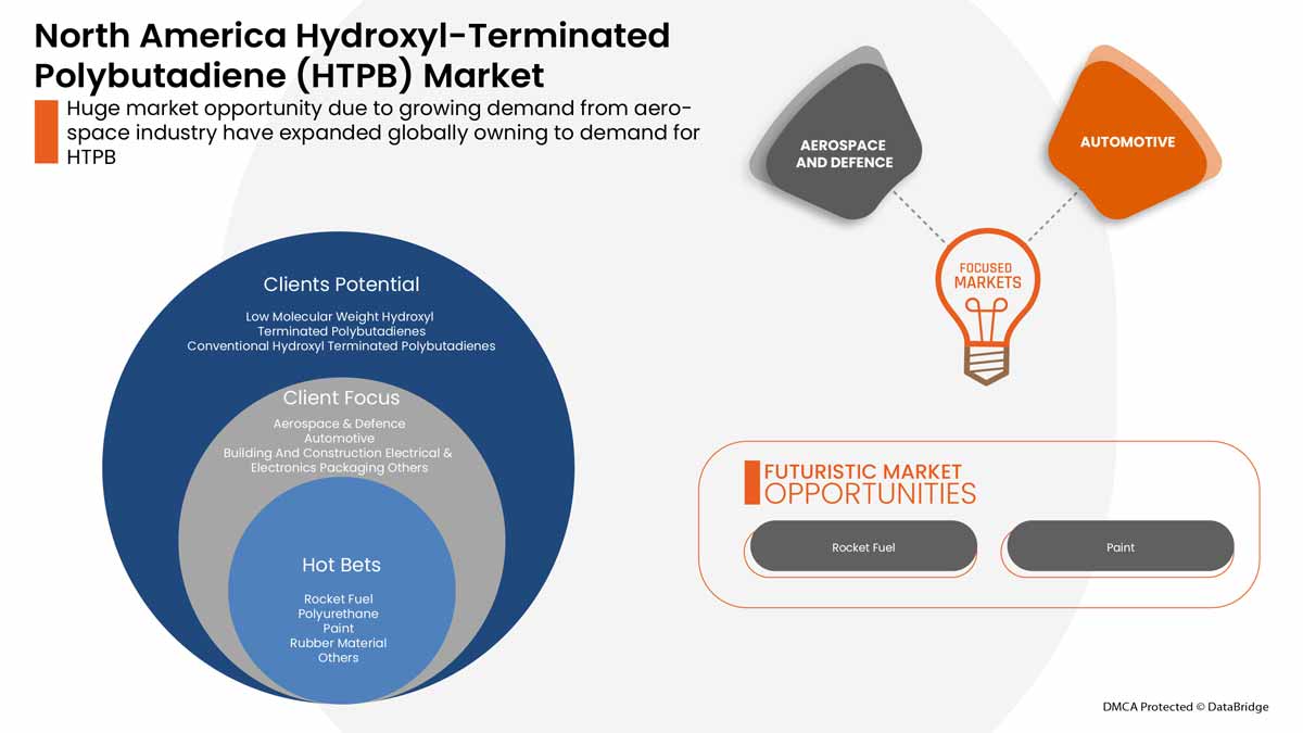Hydroxyl-Terminated Polybutadiene (HTPB) Market