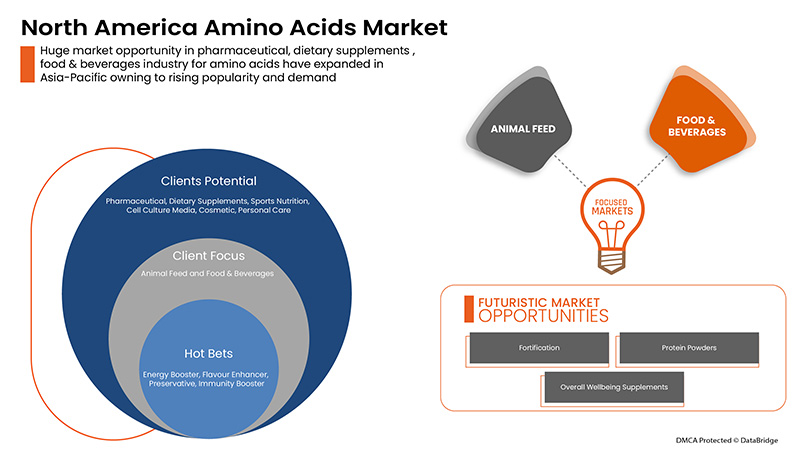 North America Amino Acids Market