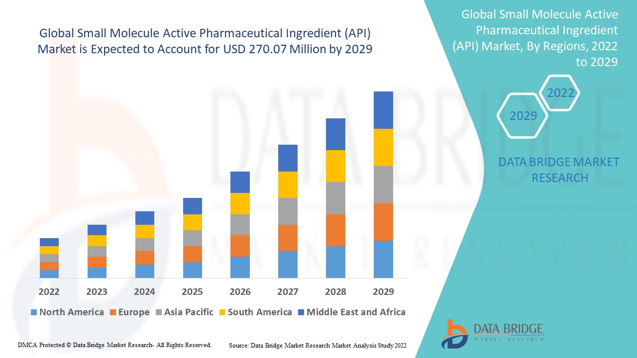 Small Molecule Active Pharmaceutical Ingredient (API) Market