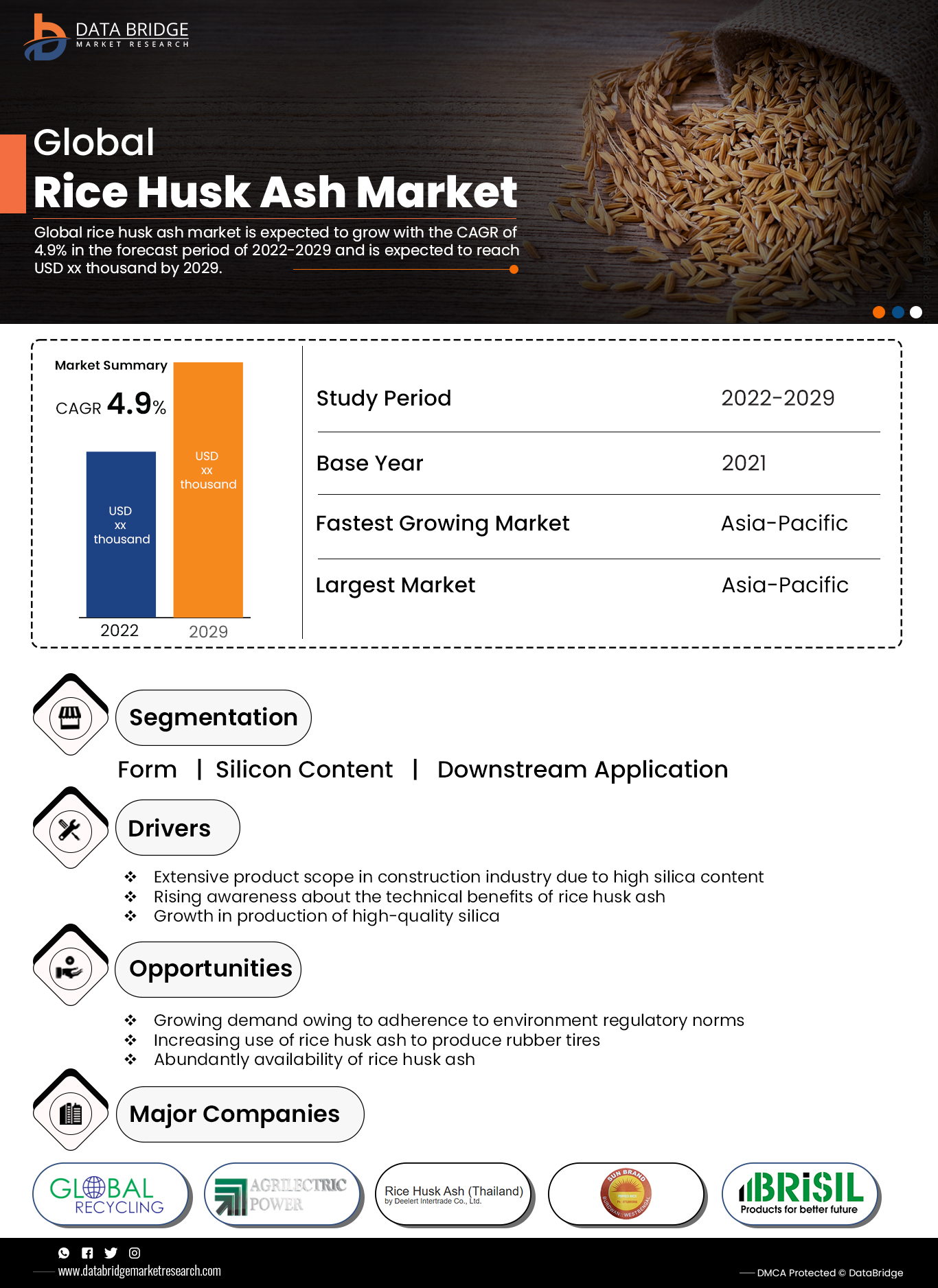 Rice Husk Ash Market