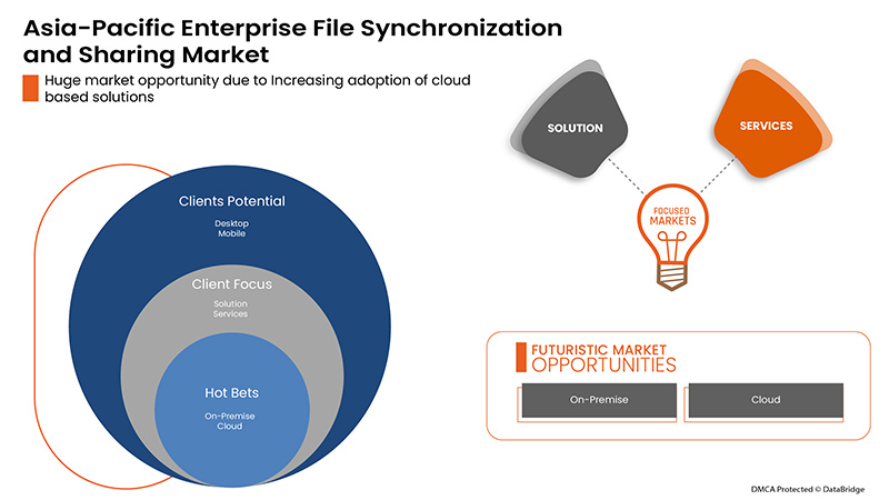 Asia-Pacific Enterprise File Synchronization and Sharing Market