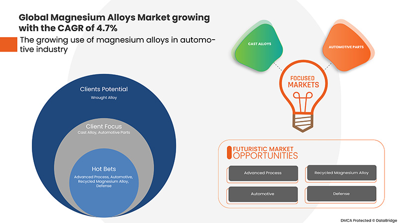 Magnesium Alloys Market