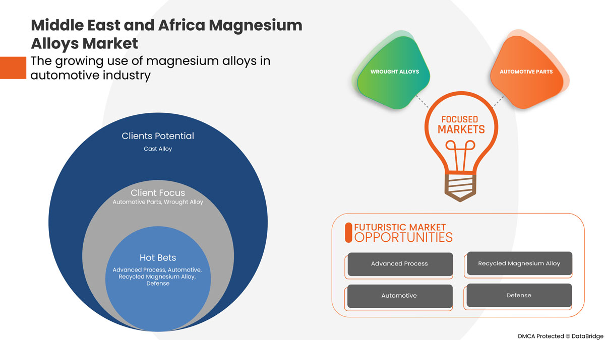 Middle East and Africa Magnesium Alloys Market