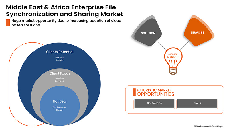Middle East and Africa Enterprise File Synchronization and Sharing Market
