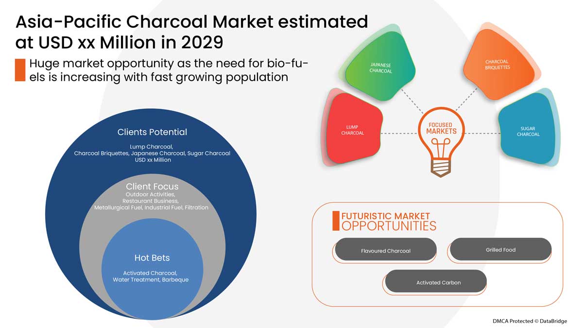 Asia-Pacific Charcoal Market