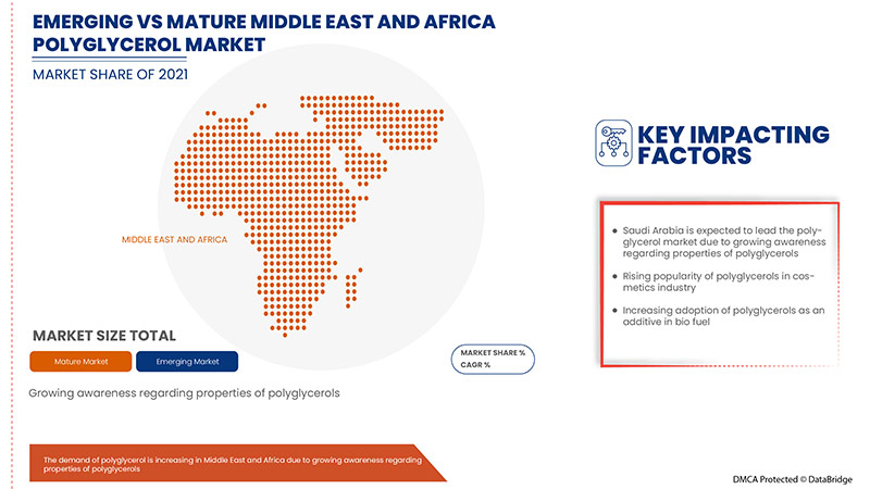 Middle East and Africa Polyglycerol Market