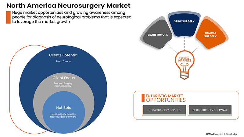 North America Neurosurgery Market