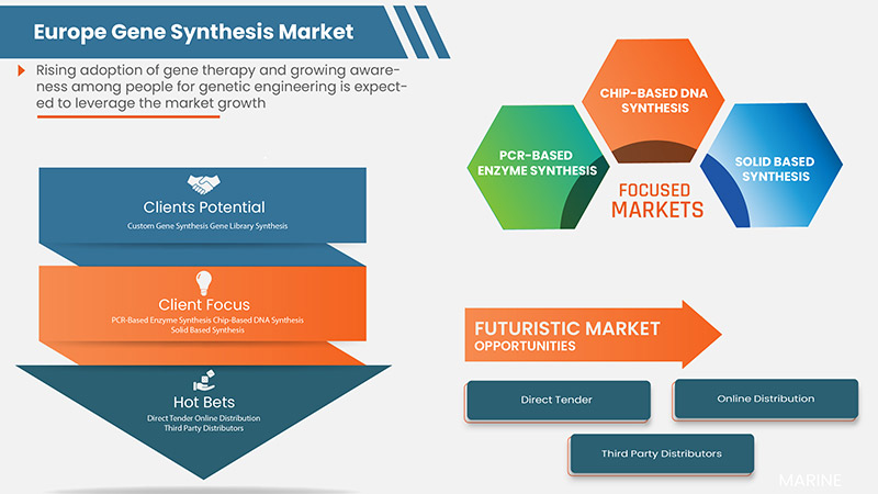 Europe Gene Synthesis Market