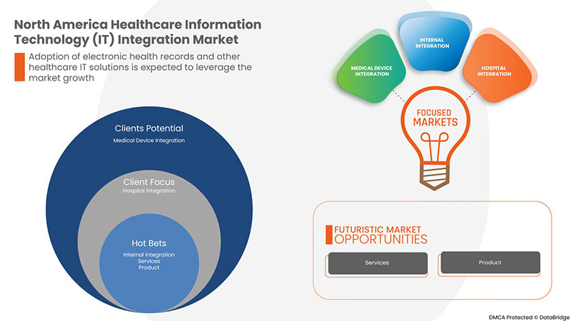 Healthcare Information Technology (IT) Integration Market