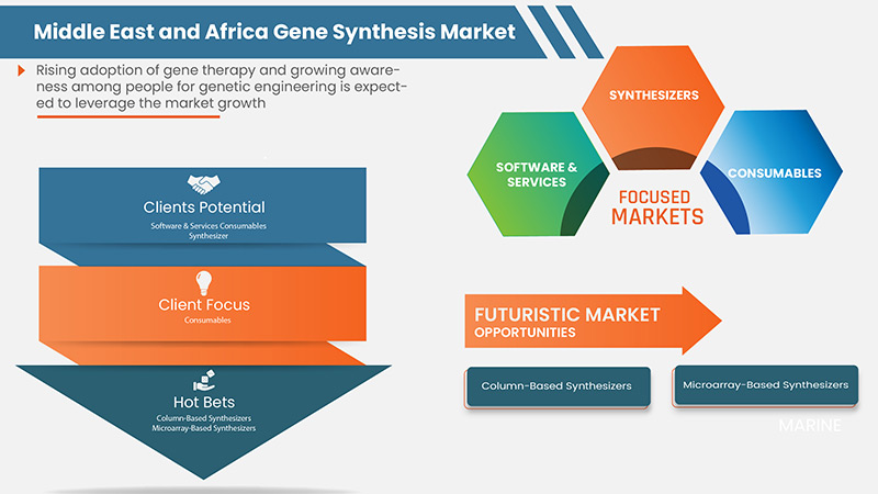 Middle East and Africa Gene Synthesis Market