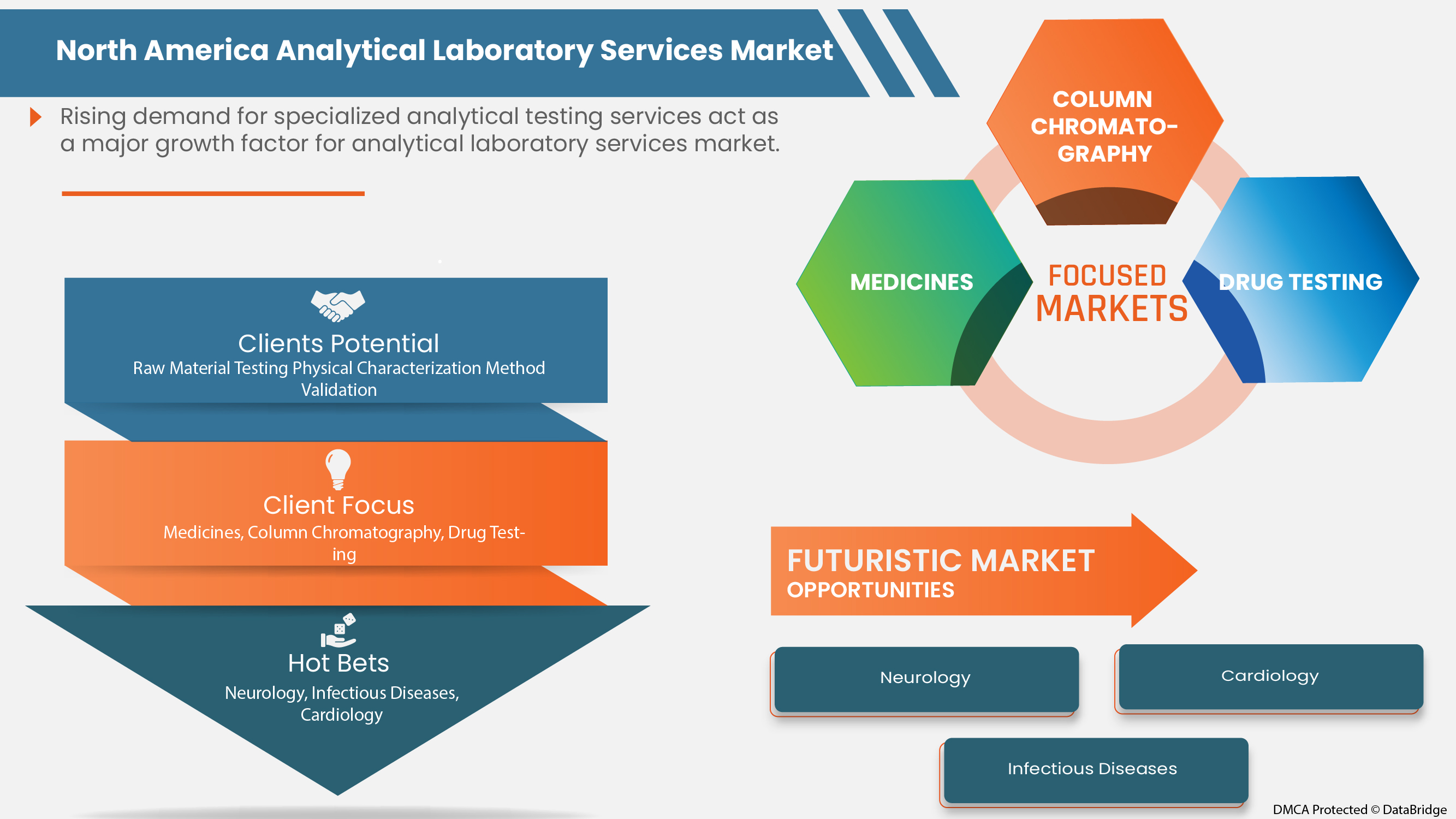Analytical Laboratory Services Market