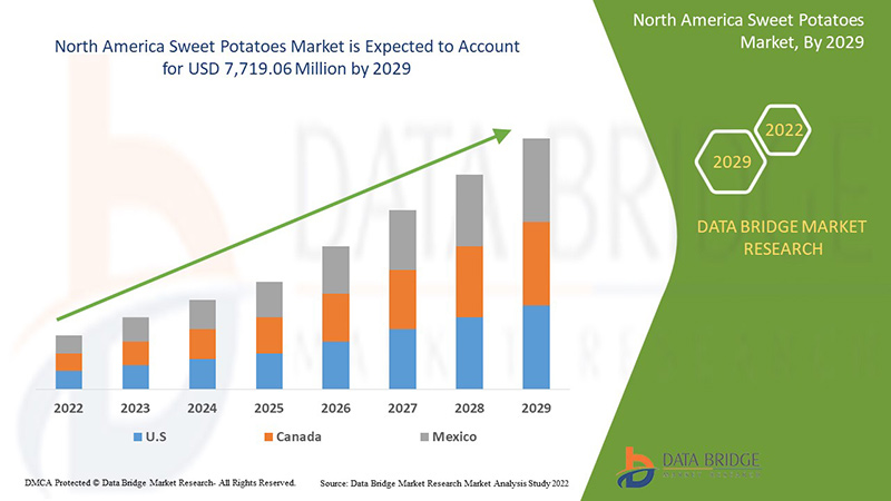 North America Sweet Potatoes Market