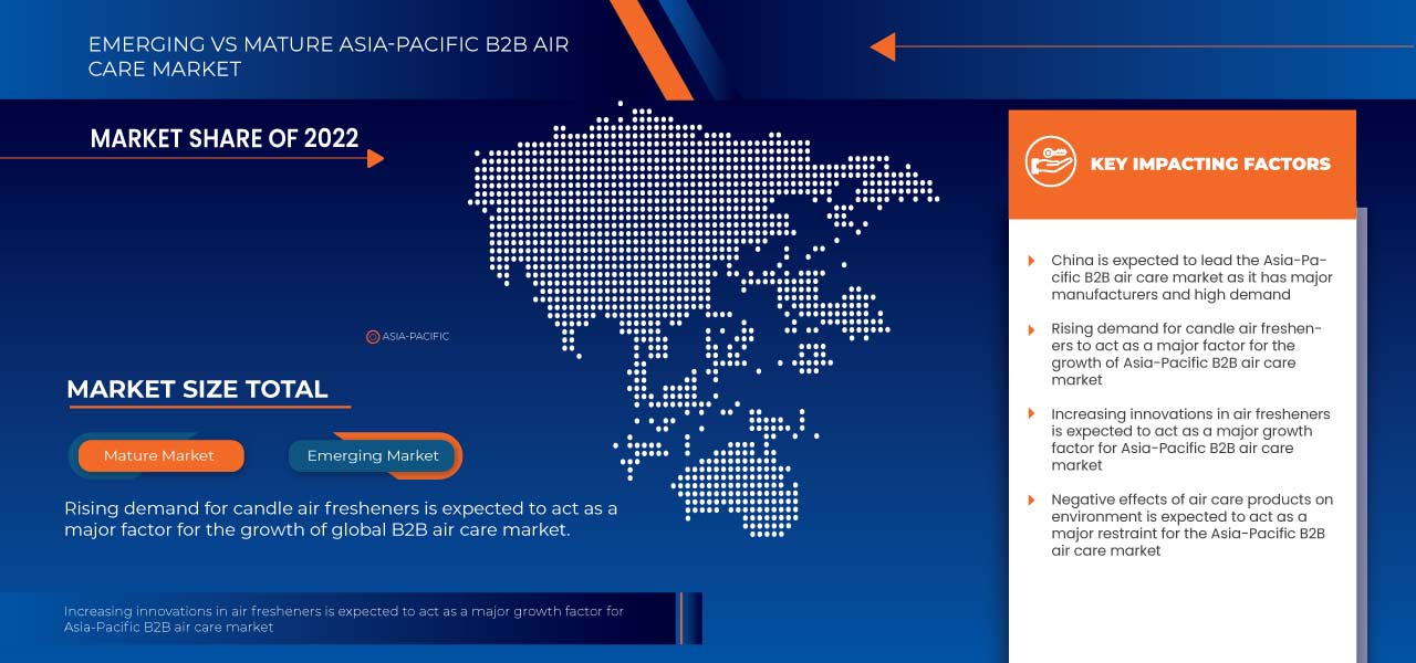 Asia-Pacific B2B Air Care Market