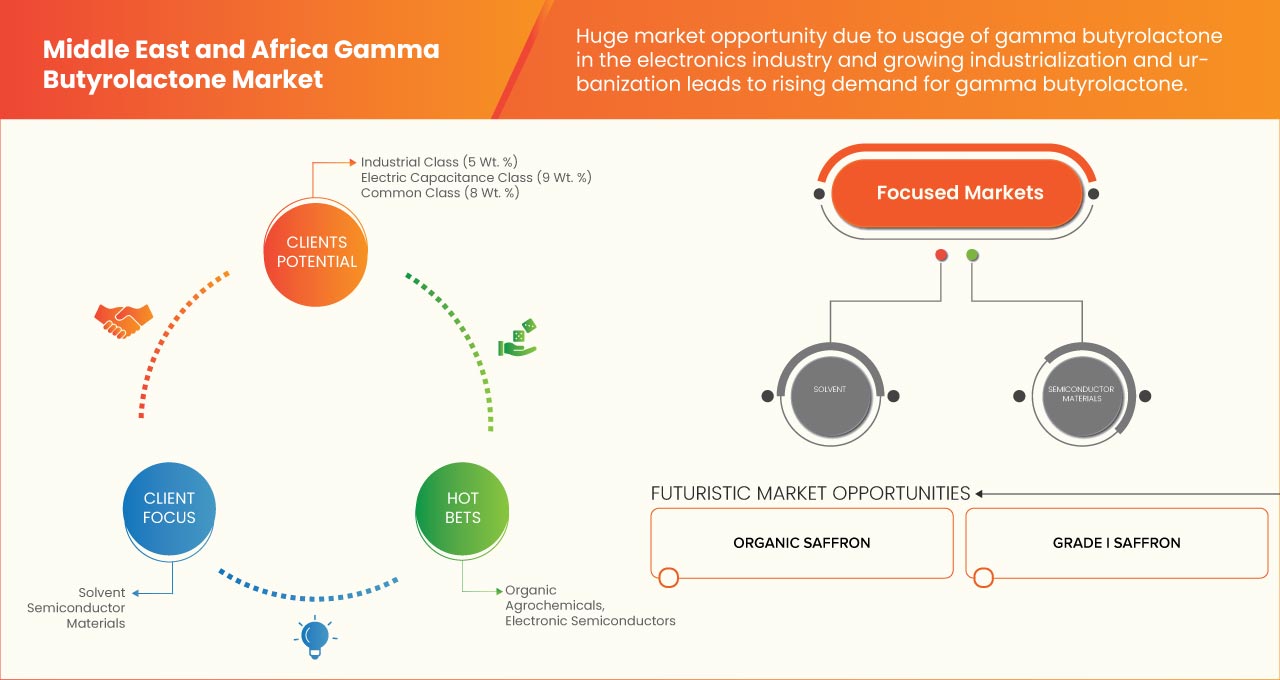 Middle East and Africa Gamma Butyrolactone Market