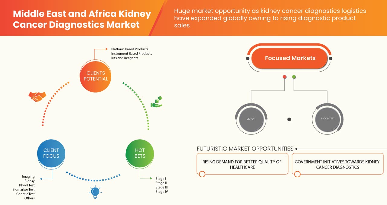 Middle East and Africa Kidney Cancer Diagnostics Market