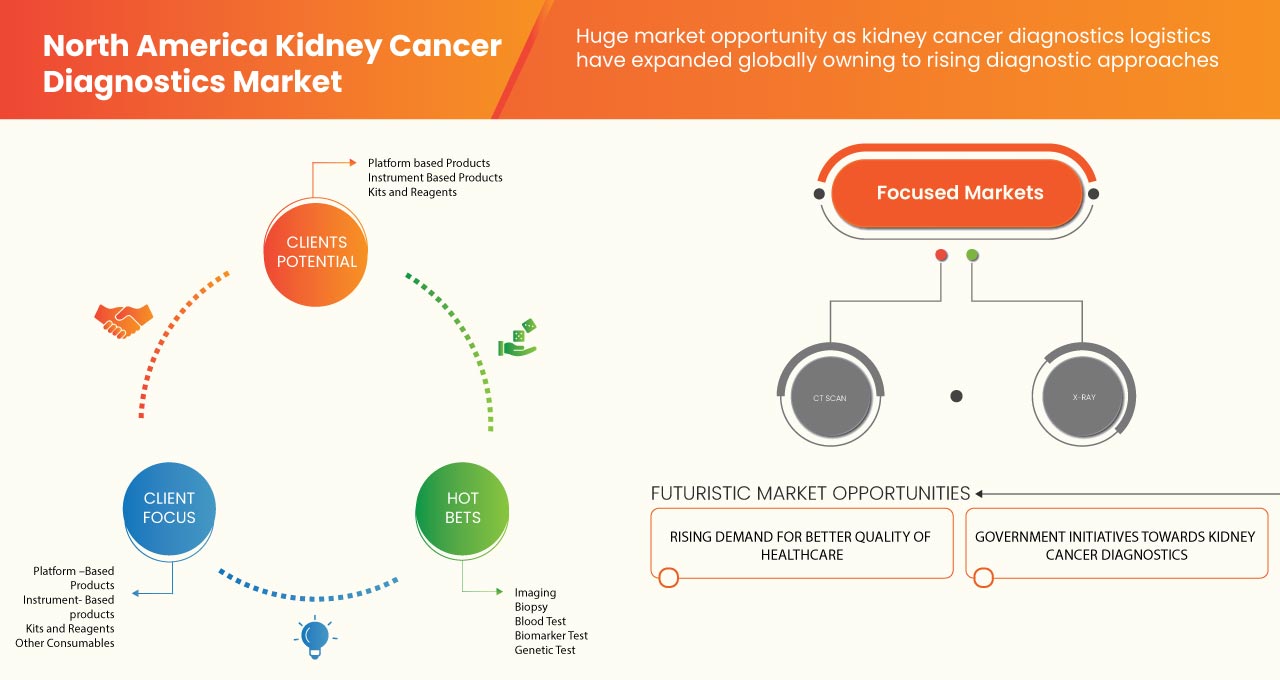 North America Kidney Cancer Diagnostics Market