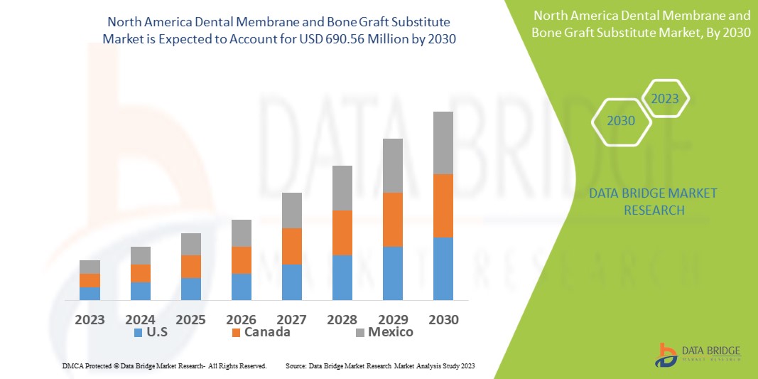 North America Dental Membrane and Bone Graft Substitute Market